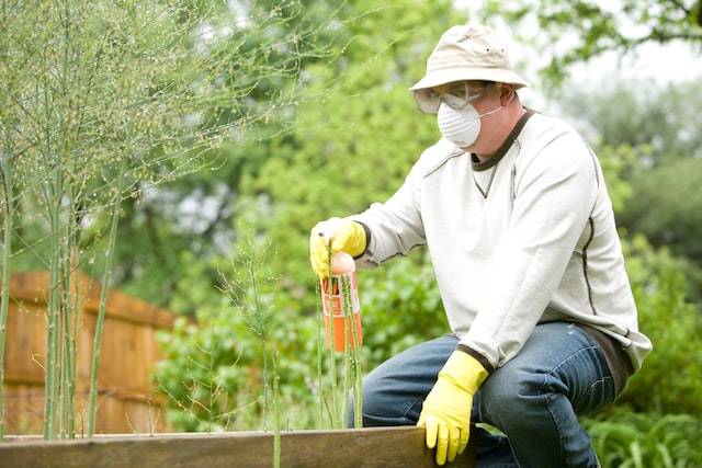 Is There A Need For Pest Controllers London Services?